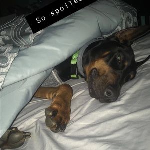 Meet your Posher, Genasis